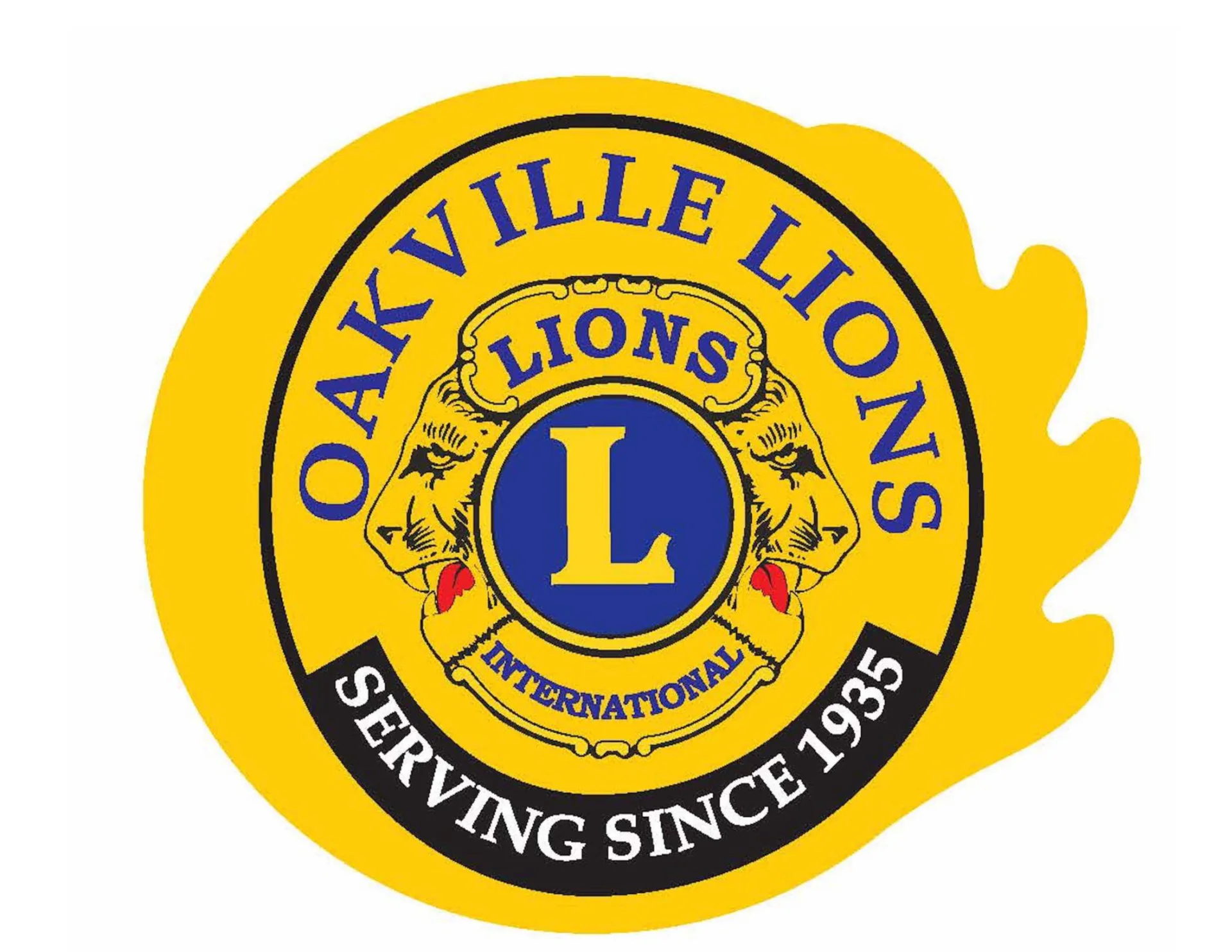 Lions logo copy